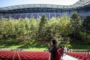 Umjesto igrača, na travi austrijskog stadiona - šuma