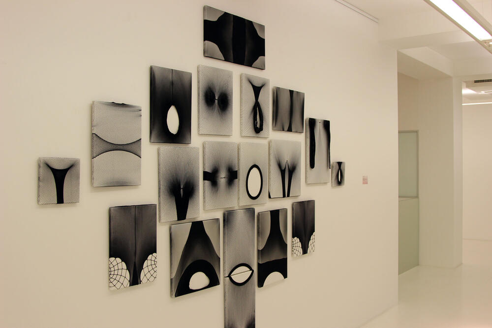 Sa izložbe “Zašto nema velikih muških umjetnika”: Dio projekta “Percepcije”, Foto: Filip Roganović