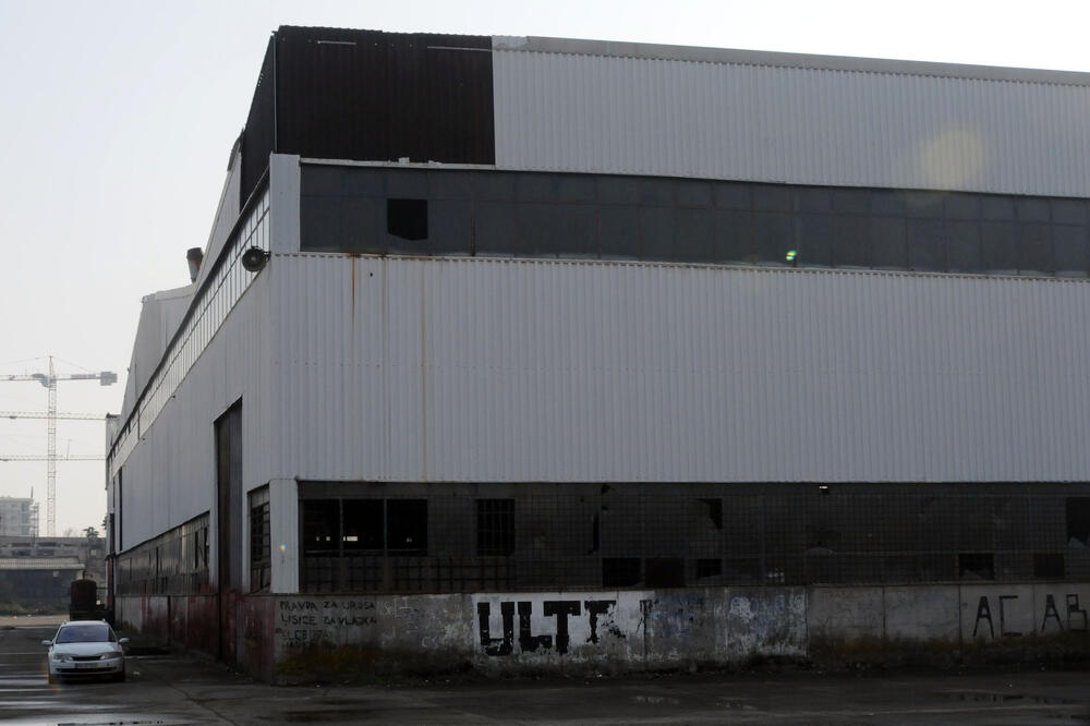 Ilustracija, Foto: Savo Prelević, Savo Prelević