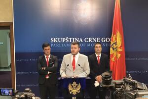 Koprivica: Odbor ništa nije radio, planirali pljačku idućih izbora