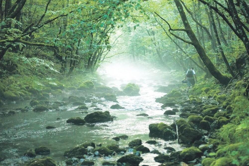 Bistrica u dijelu kroz Đalovića klisuru, Foto: Psk Akovo