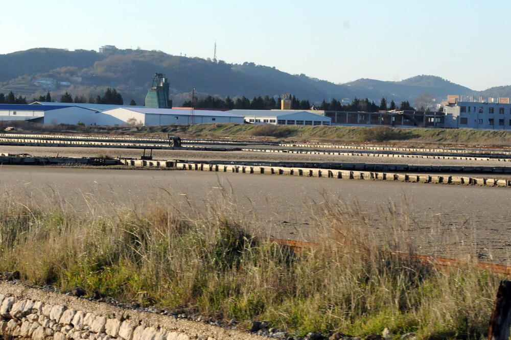 Solana, Foto: Vesko Belojević