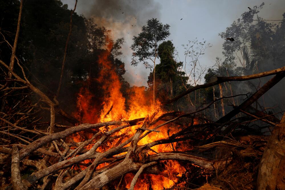 Od početka godine zabilježena 78.383 požara, Foto: Reuters