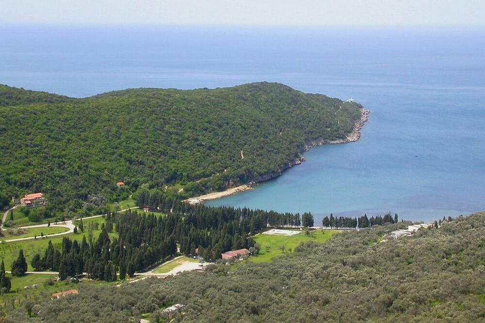 Uvala maslina - Valdanos, Foto: Arhiva Vijesti