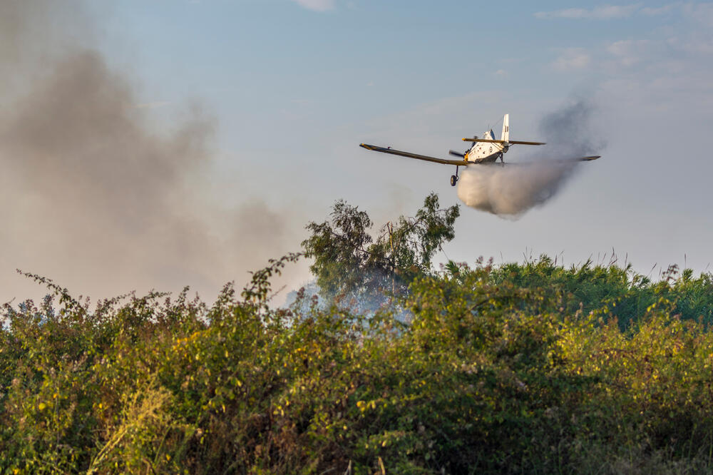 Ilustracija, Foto: Shutterstock, Shutterstock