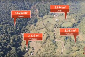 Medenica zaradila skoro 140.000 eura, a nije prijavila prodaju...