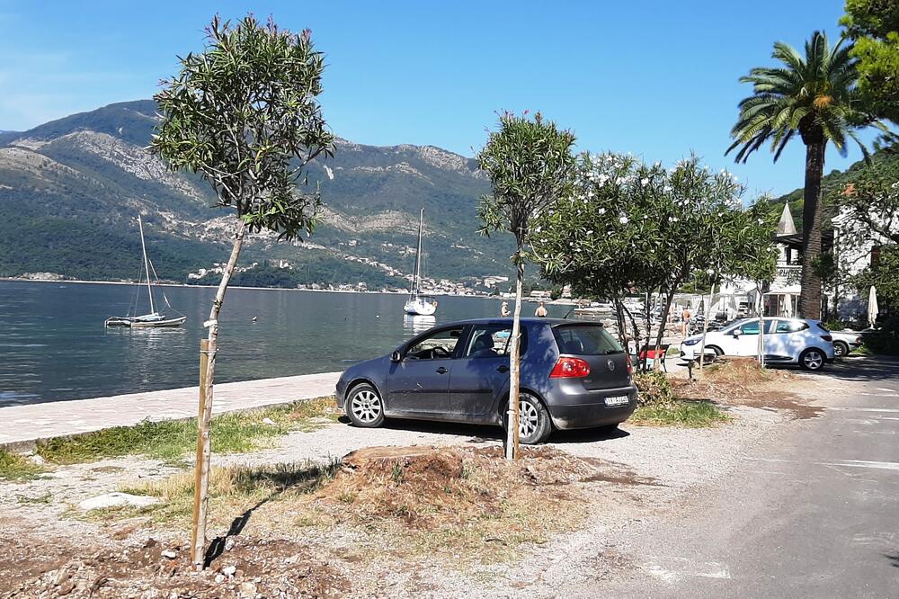 Ilustracija, Foto: Siniša Luković