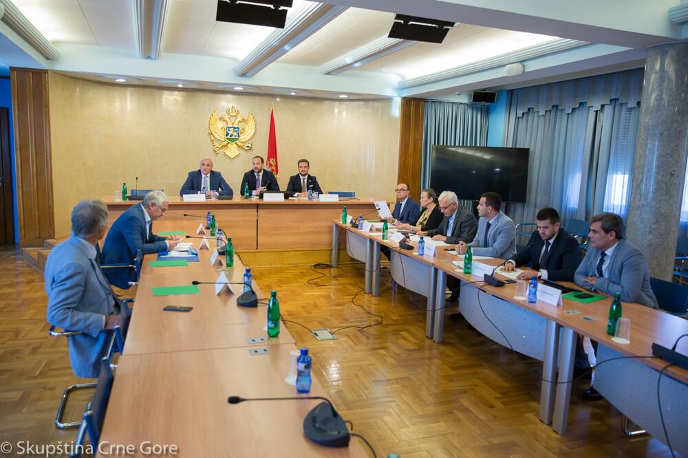 Sa sjednice Odbora, Foto: Skupština Crne Gore
