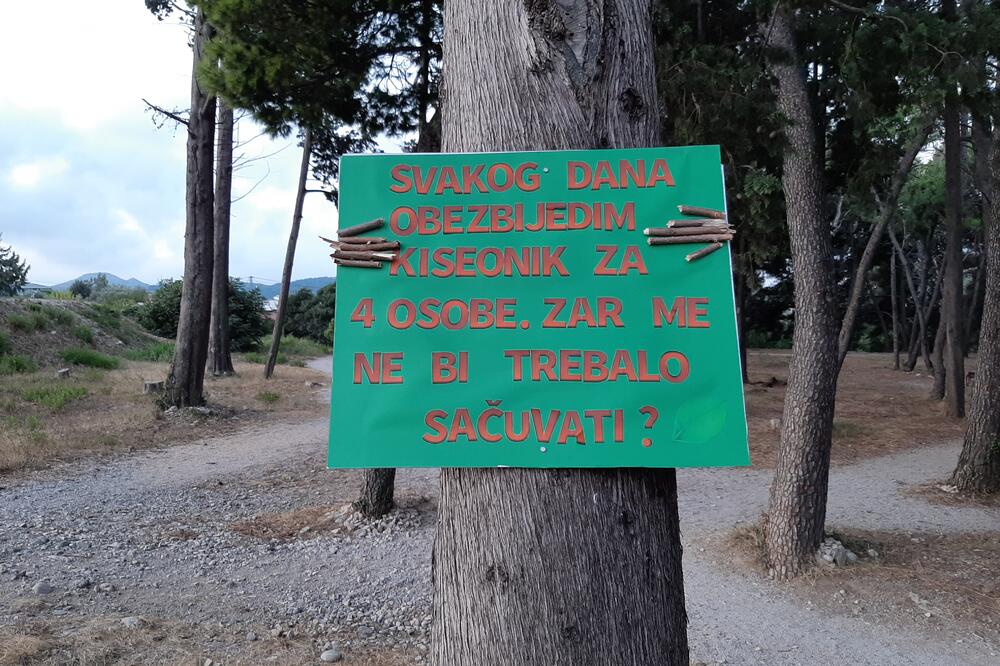 Jedna od ostavljenih poruka, Foto: Čitalac Vijesti