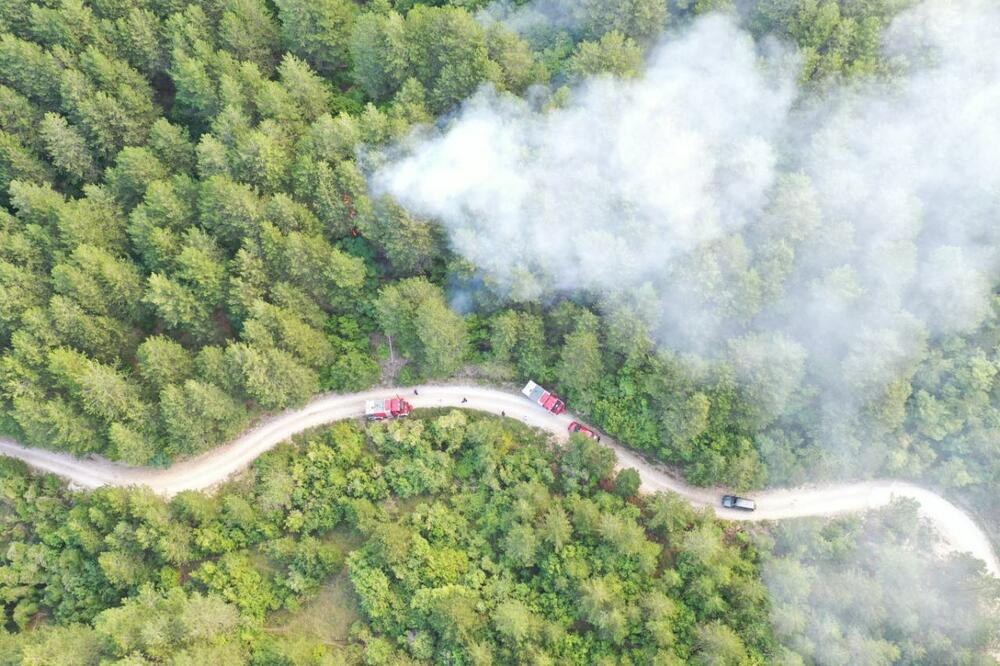 Požar iznad Malih Mikulića, Foto: MUP