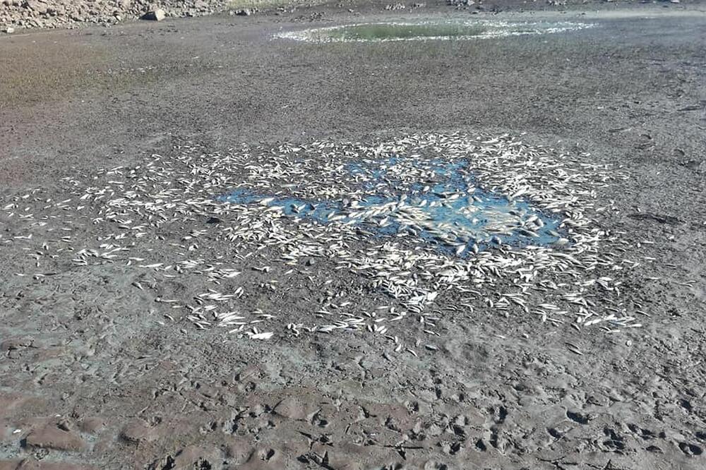 Ilustracija, Foto: Arhiva Vijesti