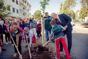U Cetinju od marta posađeno više od 200 stabala, Kašćelan:...