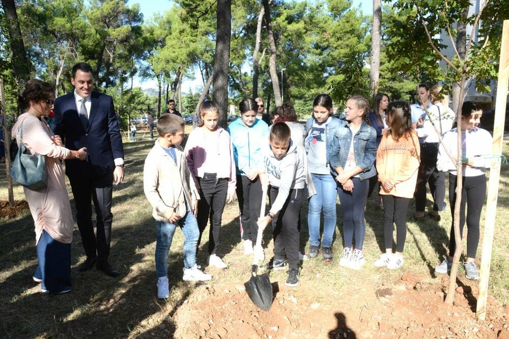 Sadnja drveća u park šumi Tološi, Foto: PG Biro