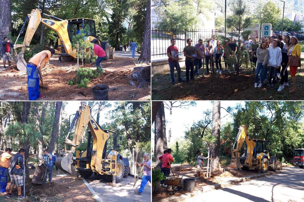 Sa akcije u parku u Tivtu, Foto: Opština Tivat