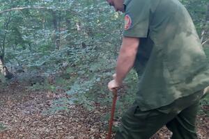 Pošumljavanje Seloštaka u Župi