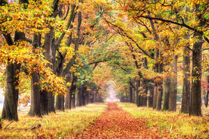 FOTO Deset romantičnih destinacija koje su najljepše u jesen
