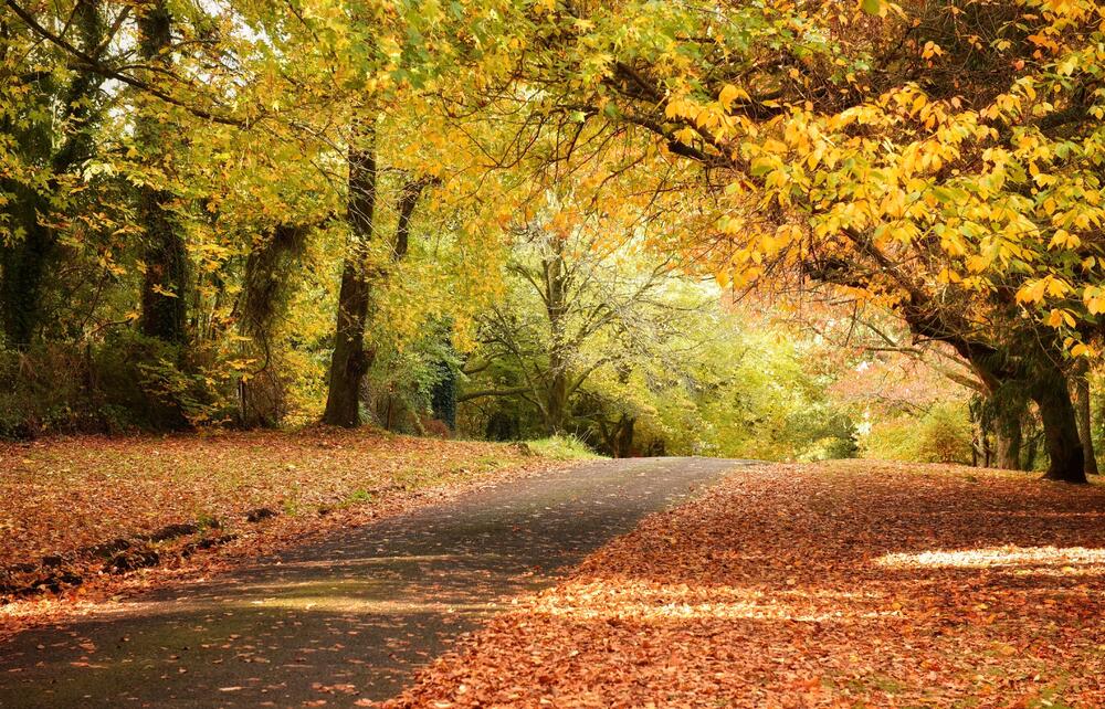 Mnogima je jesen najljepše doba godine. Okruže nas narandžaste, crvene i žute boje, koje čine da fotografijama i ne treba dodatni "filter" da bi bile kao iz bajke.U galeriji pogledajte deset destinacija koje su najljepše u jesen po izboru magazina Cosmopolitan.
