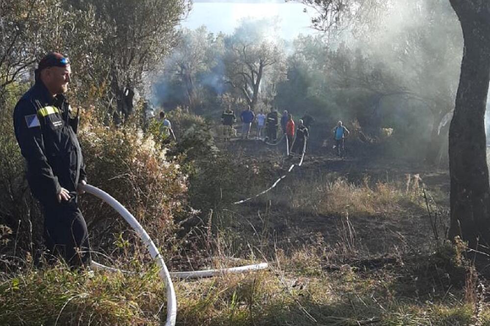 Požar ugašen nakon skoro tročasovne intervencije, Foto: SZS Tivat