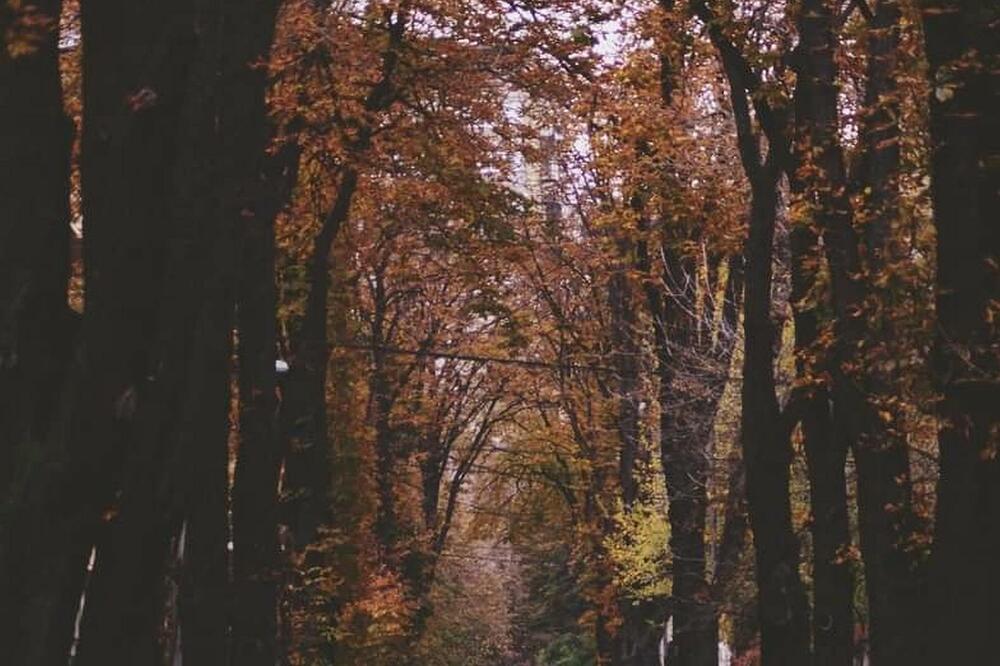 Ulica Franca Rozmana, Foto: Ksenija Vlatković