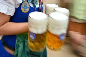 Njemačka i alkohol: Sud odlučio - mamurluk je bolest