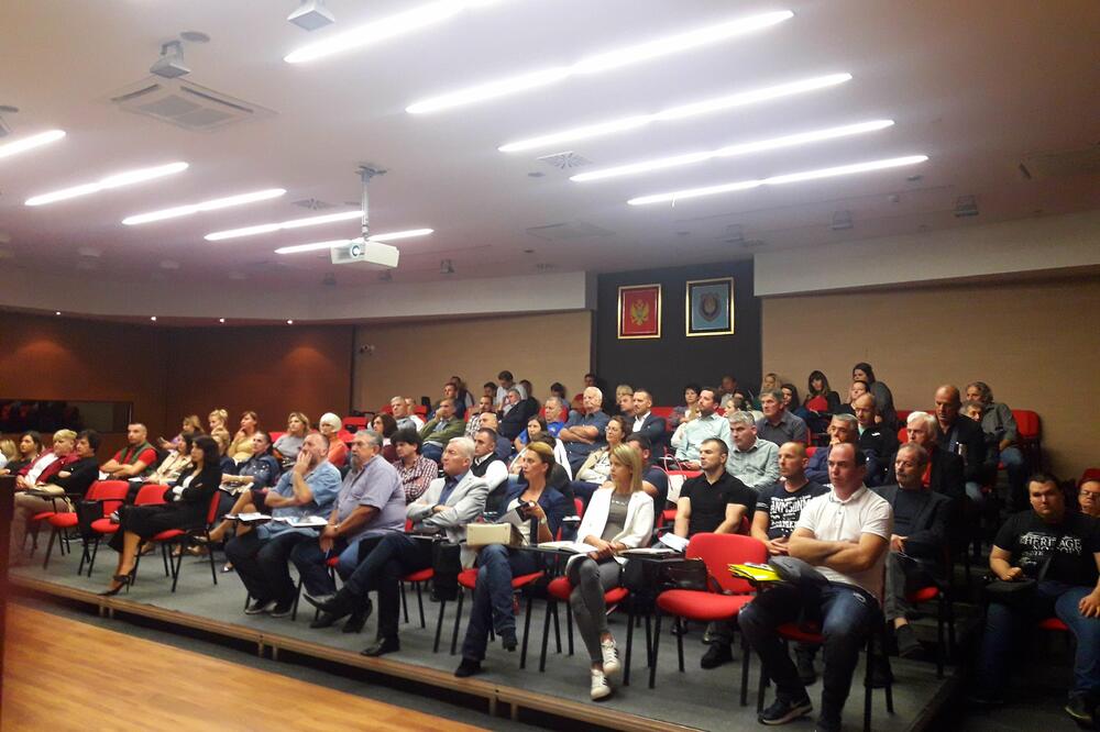 DPS Tivat, Foto: DPS