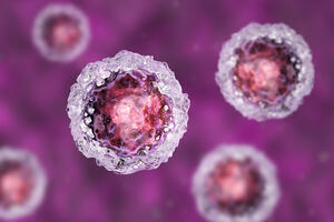 Antović: Liječenje koronavirusa matičnim ćelijama do sada uspješno...
