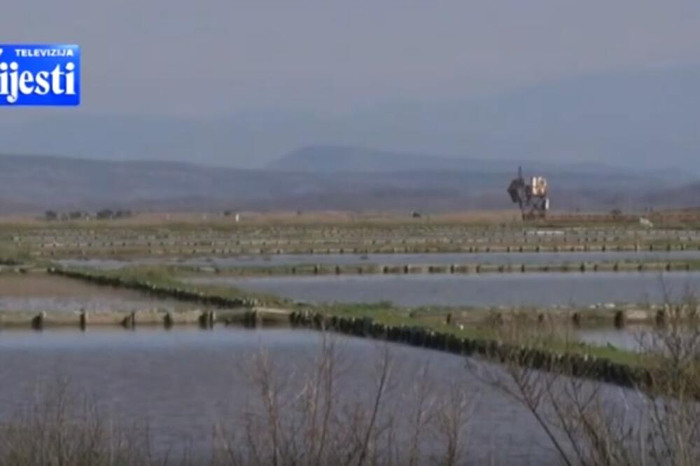 Ulcinjska solana, Foto: Screenshot/TV Vijesti