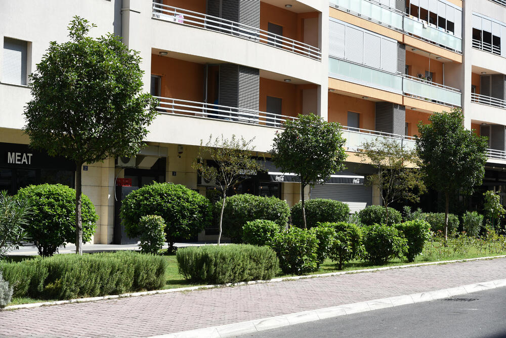 Ministar Pavle Radulović kazao je da uživa u jednom djelu City kvarta koji ima zelenu površinu. "Nije velika, ali je ima. Između dva restorana...", kazao je ministar.Fotoreporter "Vijesti" obišao je Citi kvart kako bi se čitaoci uvjerili koliko je taj dio grada obilat zelenim oazama.