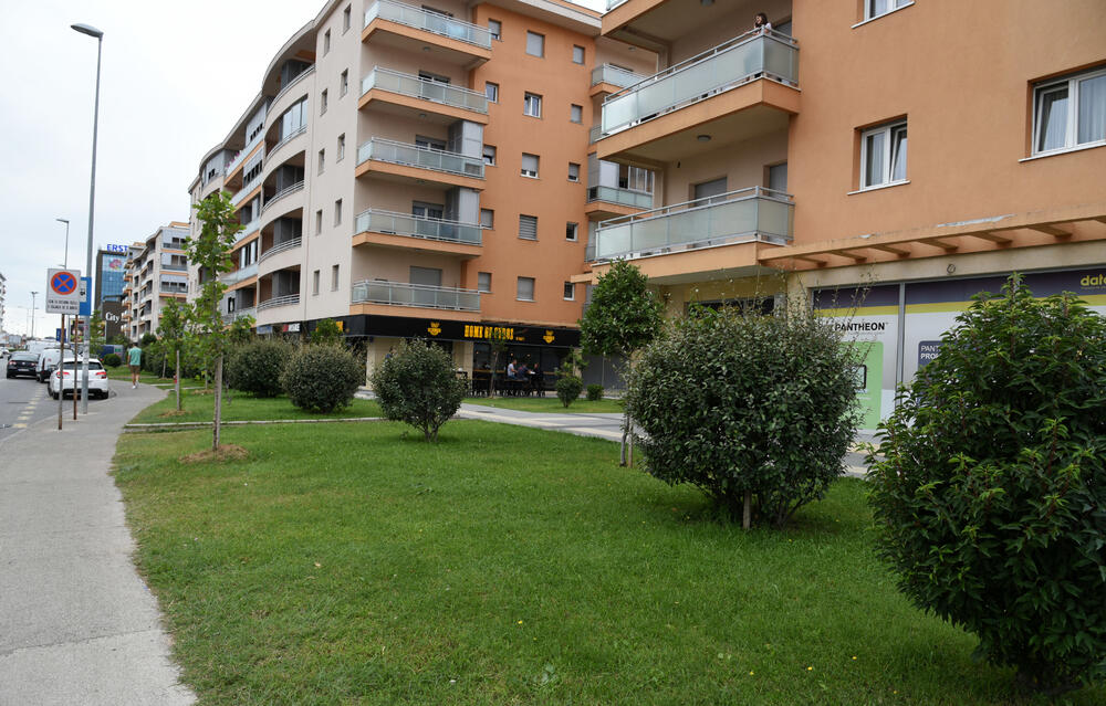 Ministar Pavle Radulović kazao je da uživa u jednom djelu City kvarta koji ima zelenu površinu. "Nije velika, ali je ima. Između dva restorana...", kazao je ministar.Fotoreporter "Vijesti" obišao je Citi kvart kako bi se čitaoci uvjerili koliko je taj dio grada obilat zelenim oazama.