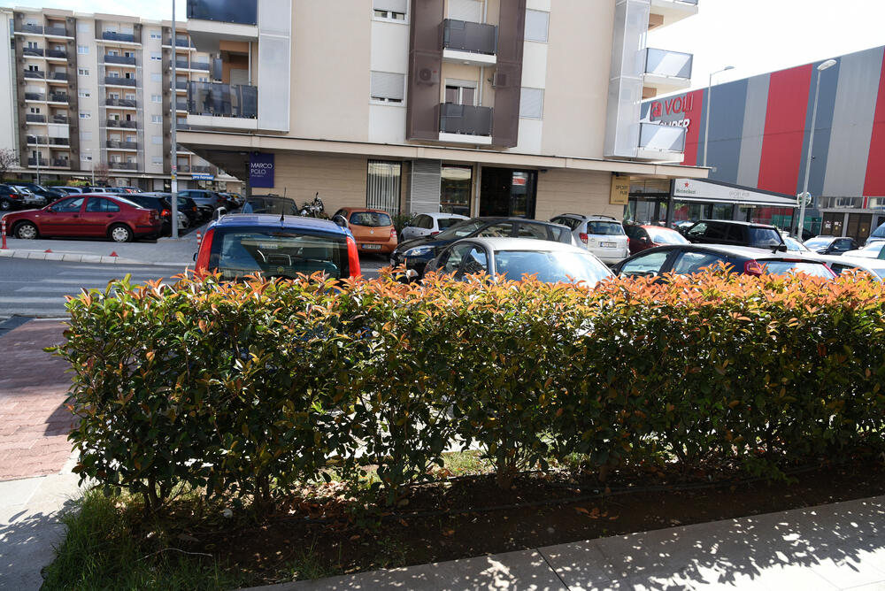 Ministar Pavle Radulović kazao je da uživa u jednom djelu City kvarta koji ima zelenu površinu. "Nije velika, ali je ima. Između dva restorana...", kazao je ministar.Fotoreporter "Vijesti" obišao je Citi kvart kako bi se čitaoci uvjerili koliko je taj dio grada obilat zelenim oazama.