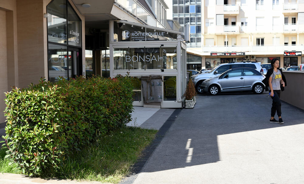 Ministar Pavle Radulović kazao je da uživa u jednom djelu City kvarta koji ima zelenu površinu. "Nije velika, ali je ima. Između dva restorana...", kazao je ministar.Fotoreporter "Vijesti" obišao je Citi kvart kako bi se čitaoci uvjerili koliko je taj dio grada obilat zelenim oazama.