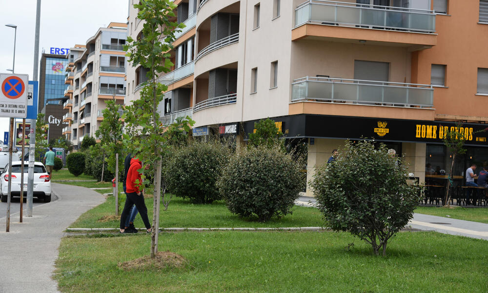 Ministar Pavle Radulović kazao je da uživa u jednom djelu City kvarta koji ima zelenu površinu. "Nije velika, ali je ima. Između dva restorana...", kazao je ministar.Fotoreporter "Vijesti" obišao je Citi kvart kako bi se čitaoci uvjerili koliko je taj dio grada obilat zelenim oazama.