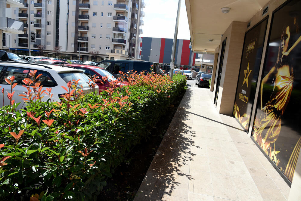 Ministar Pavle Radulović kazao je da uživa u jednom djelu City kvarta koji ima zelenu površinu. "Nije velika, ali je ima. Između dva restorana...", kazao je ministar.Fotoreporter "Vijesti" obišao je Citi kvart kako bi se čitaoci uvjerili koliko je taj dio grada obilat zelenim oazama.