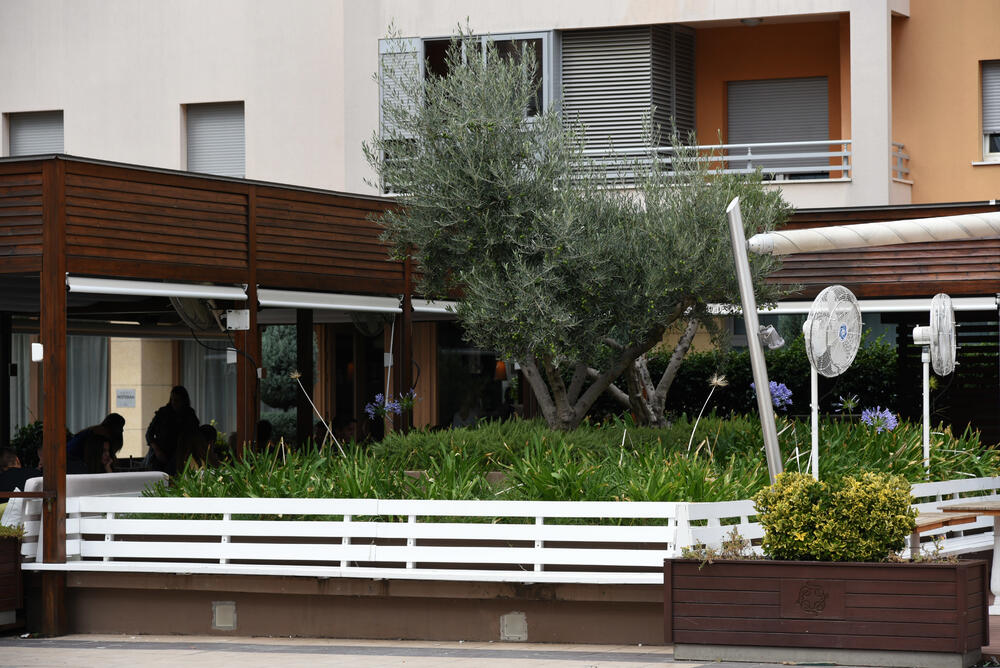 Ministar Pavle Radulović kazao je da uživa u jednom djelu City kvarta koji ima zelenu površinu. "Nije velika, ali je ima. Između dva restorana...", kazao je ministar.Fotoreporter "Vijesti" obišao je Citi kvart kako bi se čitaoci uvjerili koliko je taj dio grada obilat zelenim oazama.