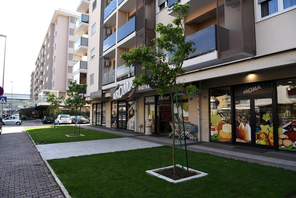 Ministar Pavle Radulović kazao je da uživa u jednom djelu City kvarta koji ima zelenu površinu. "Nije velika, ali je ima. Između dva restorana...", kazao je ministar.Fotoreporter "Vijesti" obišao je Citi kvart kako bi se čitaoci uvjerili koliko je taj dio grada obilat zelenim oazama.