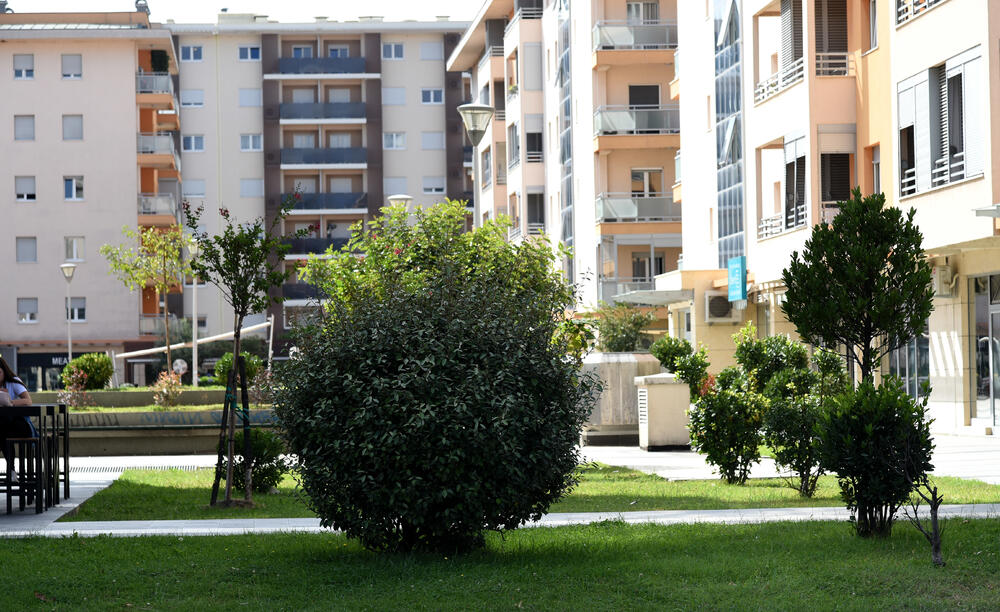 Ministar Pavle Radulović kazao je da uživa u jednom djelu City kvarta koji ima zelenu površinu. "Nije velika, ali je ima. Između dva restorana...", kazao je ministar.Fotoreporter "Vijesti" obišao je Citi kvart kako bi se čitaoci uvjerili koliko je taj dio grada obilat zelenim oazama.