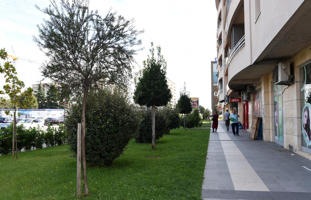 Ministar Pavle Radulović kazao je da uživa u jednom djelu City kvarta koji ima zelenu površinu. "Nije velika, ali je ima. Između dva restorana...", kazao je ministar.Fotoreporter "Vijesti" obišao je Citi kvart kako bi se čitaoci uvjerili koliko je taj dio grada obilat zelenim oazama.