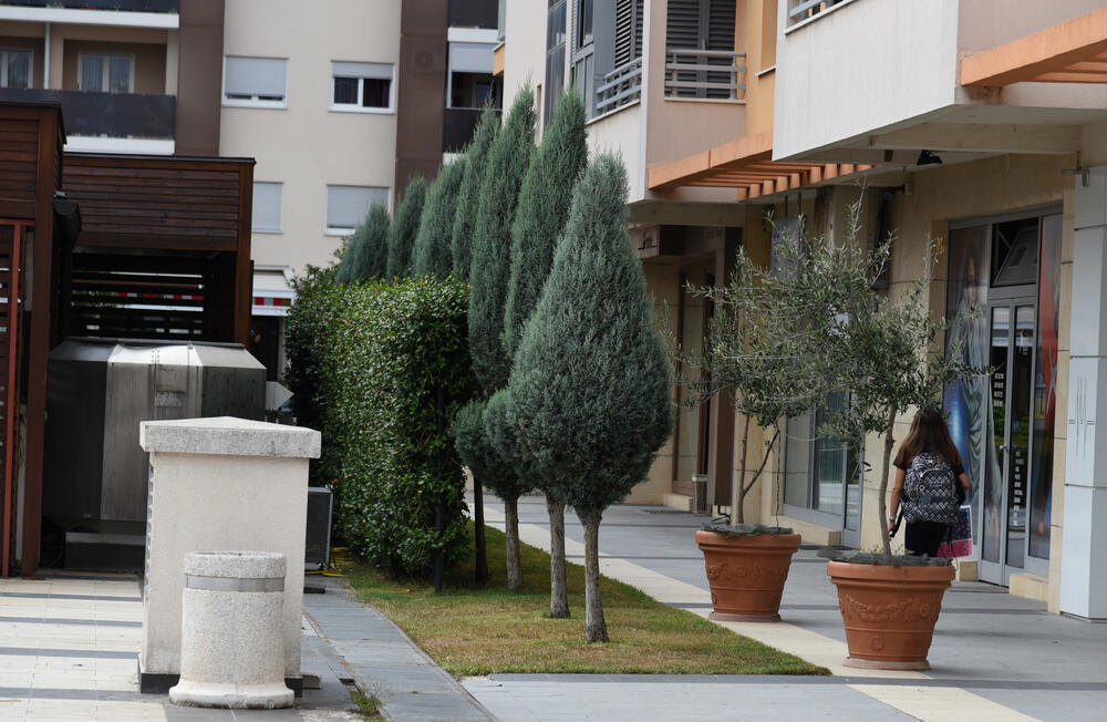 Ministar Pavle Radulović kazao je da uživa u jednom djelu City kvarta koji ima zelenu površinu. "Nije velika, ali je ima. Između dva restorana...", kazao je ministar.Fotoreporter "Vijesti" obišao je Citi kvart kako bi se čitaoci uvjerili koliko je taj dio grada obilat zelenim oazama.