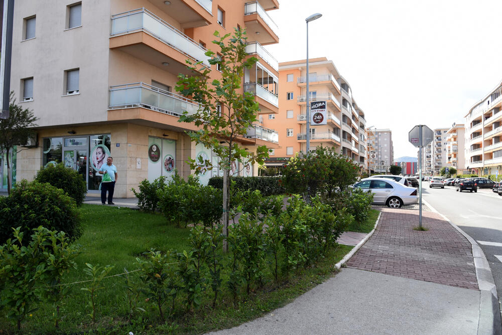 Ministar Pavle Radulović kazao je da uživa u jednom djelu City kvarta koji ima zelenu površinu. "Nije velika, ali je ima. Između dva restorana...", kazao je ministar.Fotoreporter "Vijesti" obišao je Citi kvart kako bi se čitaoci uvjerili koliko je taj dio grada obilat zelenim oazama.