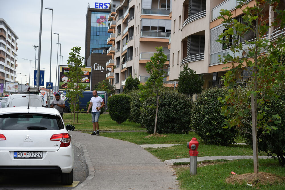 Ministar Pavle Radulović kazao je da uživa u jednom djelu City kvarta koji ima zelenu površinu. "Nije velika, ali je ima. Između dva restorana...", kazao je ministar.Fotoreporter "Vijesti" obišao je Citi kvart kako bi se čitaoci uvjerili koliko je taj dio grada obilat zelenim oazama.