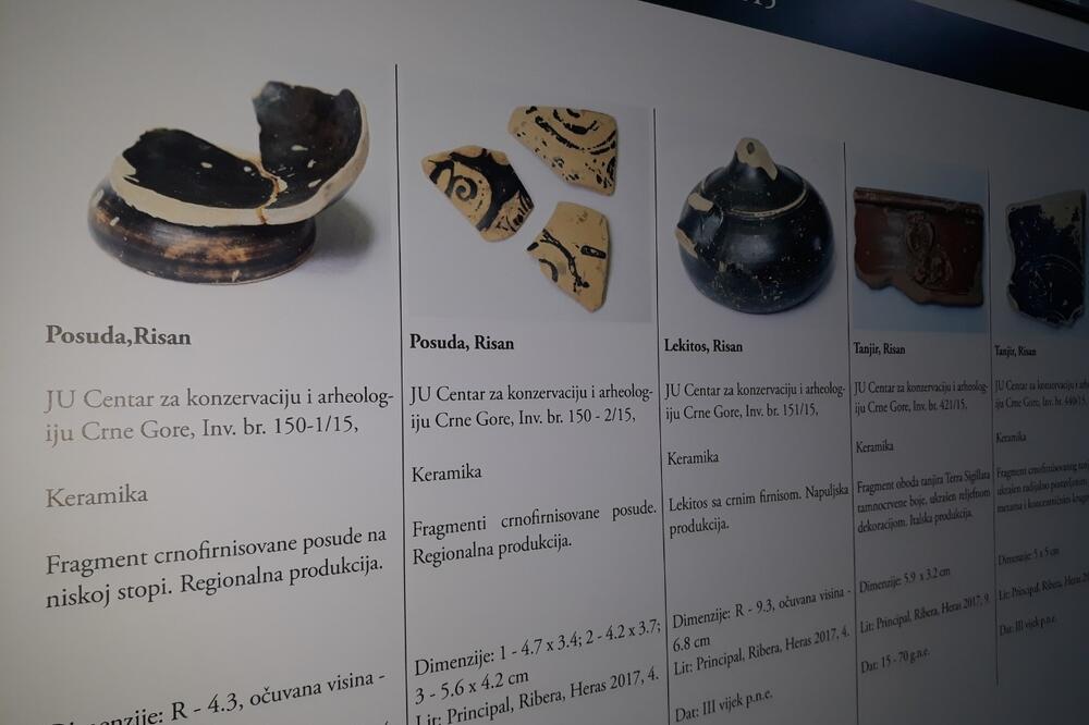 Sa izložbe u Bijelom Polju, Foto: Jadranka Ćetković