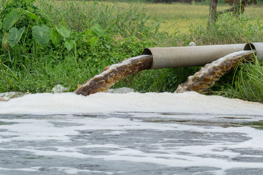 Ilustracija, Foto: Shutterstock