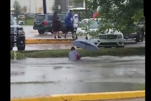 Pogledajte: Nikada ne potcjenjujte baricu