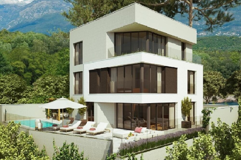 Projektovani izgled Savićevićeve vile