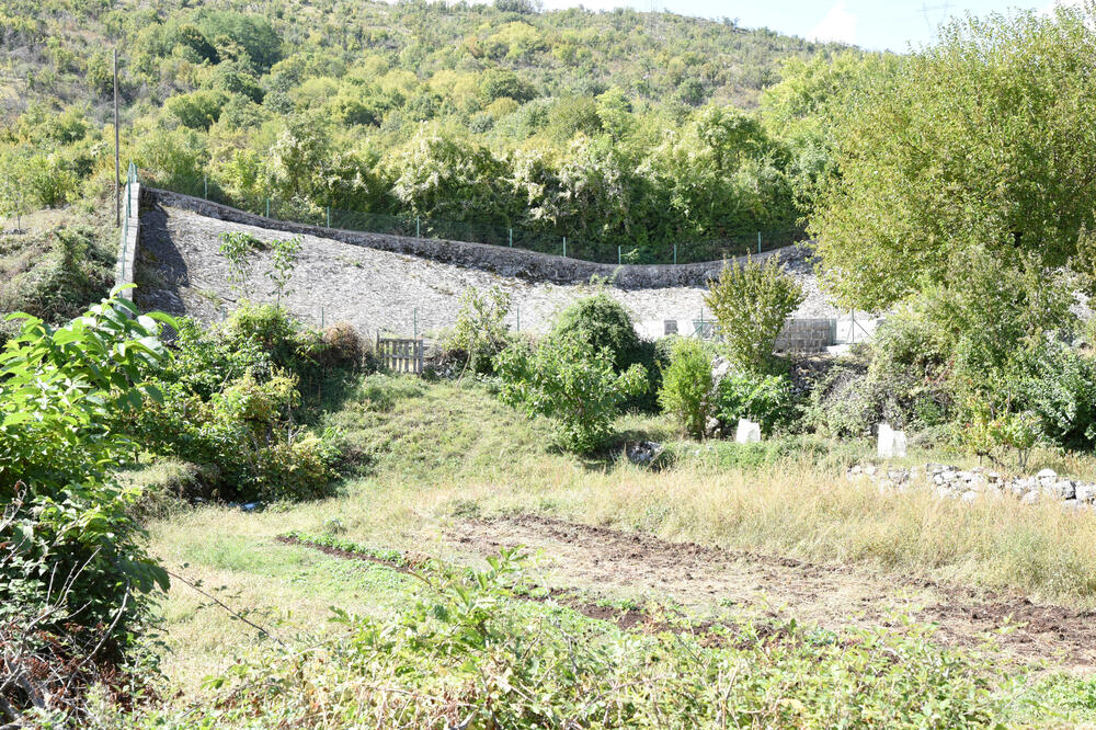 Bistijerna kralja Aleksandra u Gornjem Zagarču, Foto: Zoran Đurić