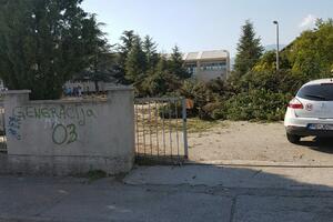 Spuž: U dvorištu škole posjekli čemprese stare decenijama