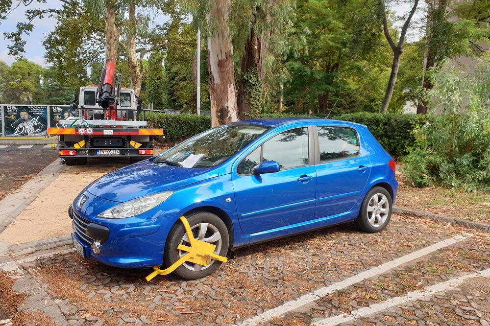 Pauk van funkcije danima, Foto: Siniša Luković