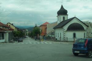 The member of the Pljeval DPS is looking for a monument to the patriarch of the Serbian Orthodox Church