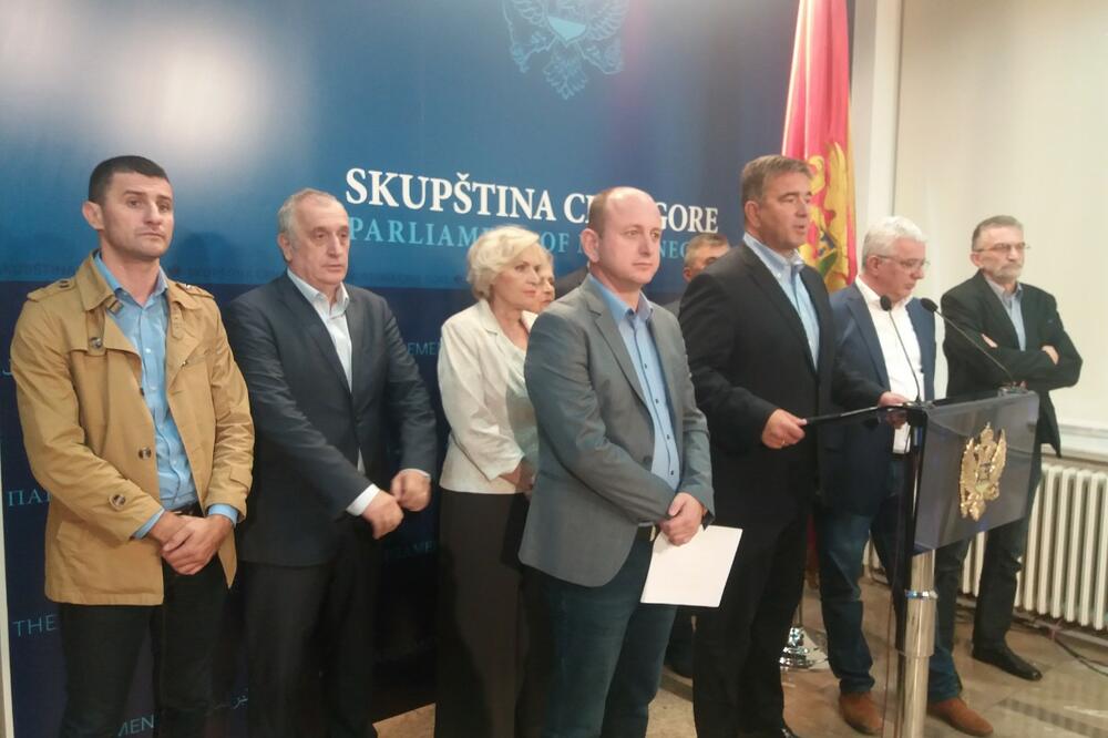 Demokratski front, Foto: Željka Vučinić