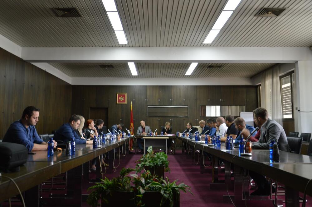 Savjet mladih DPS, Foto: DPS